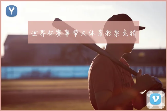 世界杯赛事带火体育彩票竞猜